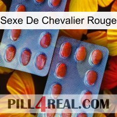 Red Knight Sex 05